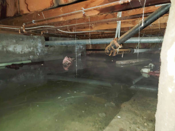 Best 24-hour water damage restoration  in Windsor, PA