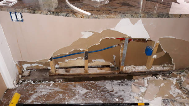 Best Professional water damage repair  in Windsor, PA