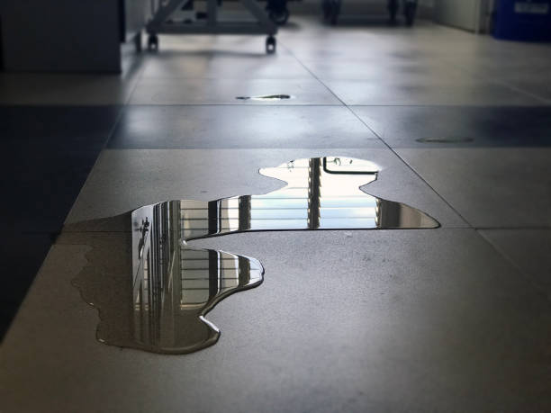 Best Water damage restoration process  in Windsor, PA