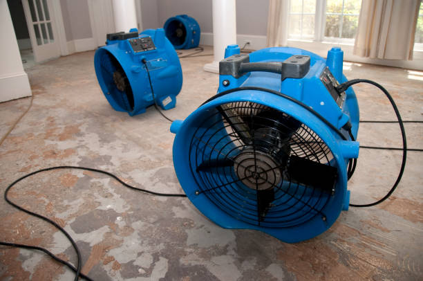 Best Ceiling water damage repair  in Windsor, PA
