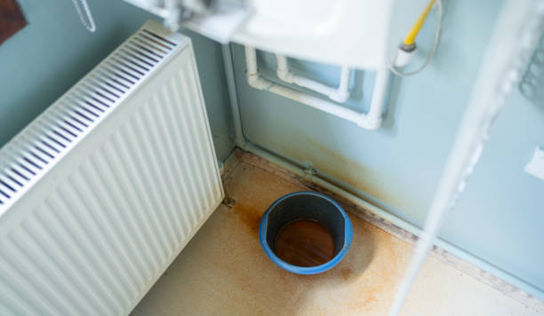 Best Mold removal after water damage  in Windsor, PA