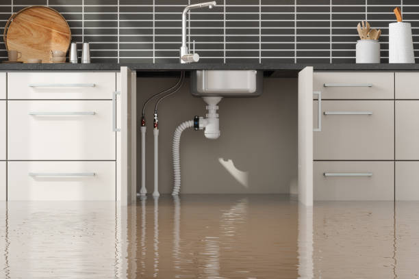 Best Basement water damage restoration  in Windsor, PA