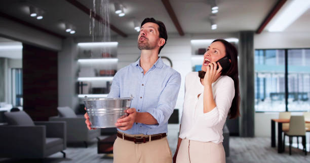 Best Carpet water damage restoration  in Windsor, PA